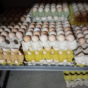 Jajka wiejskie z wolnego wybiegu - L 10 sztuk