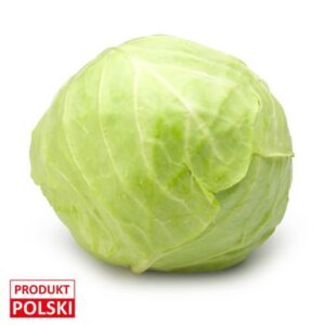 Kapusta biała - główka