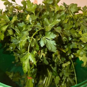 Natka pietruszki - pęczek