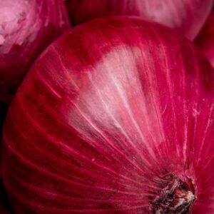 Cebula czerwona